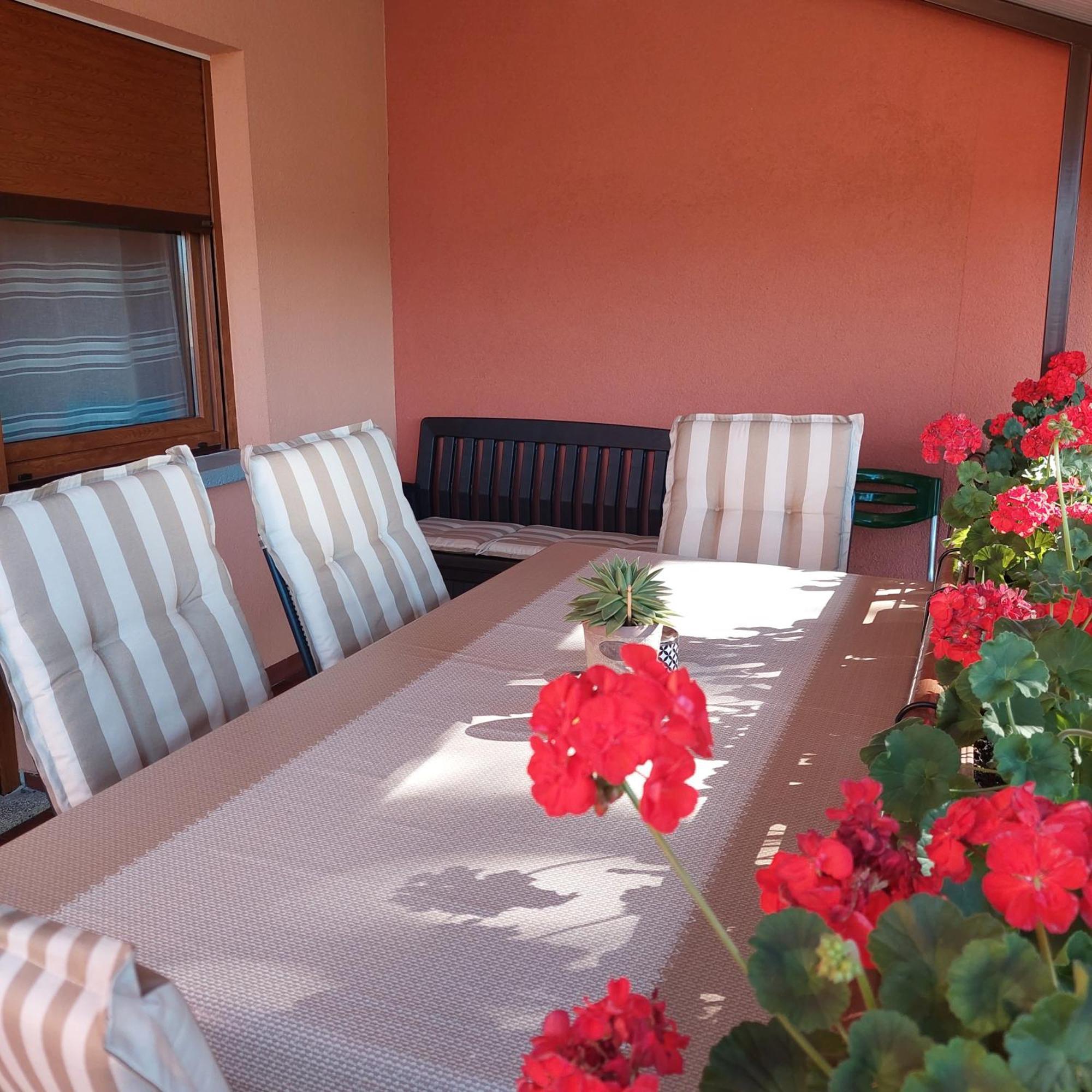 Apartman Branka Labin  Exteriör bild